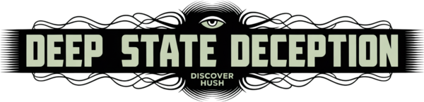 deep state deception   logo